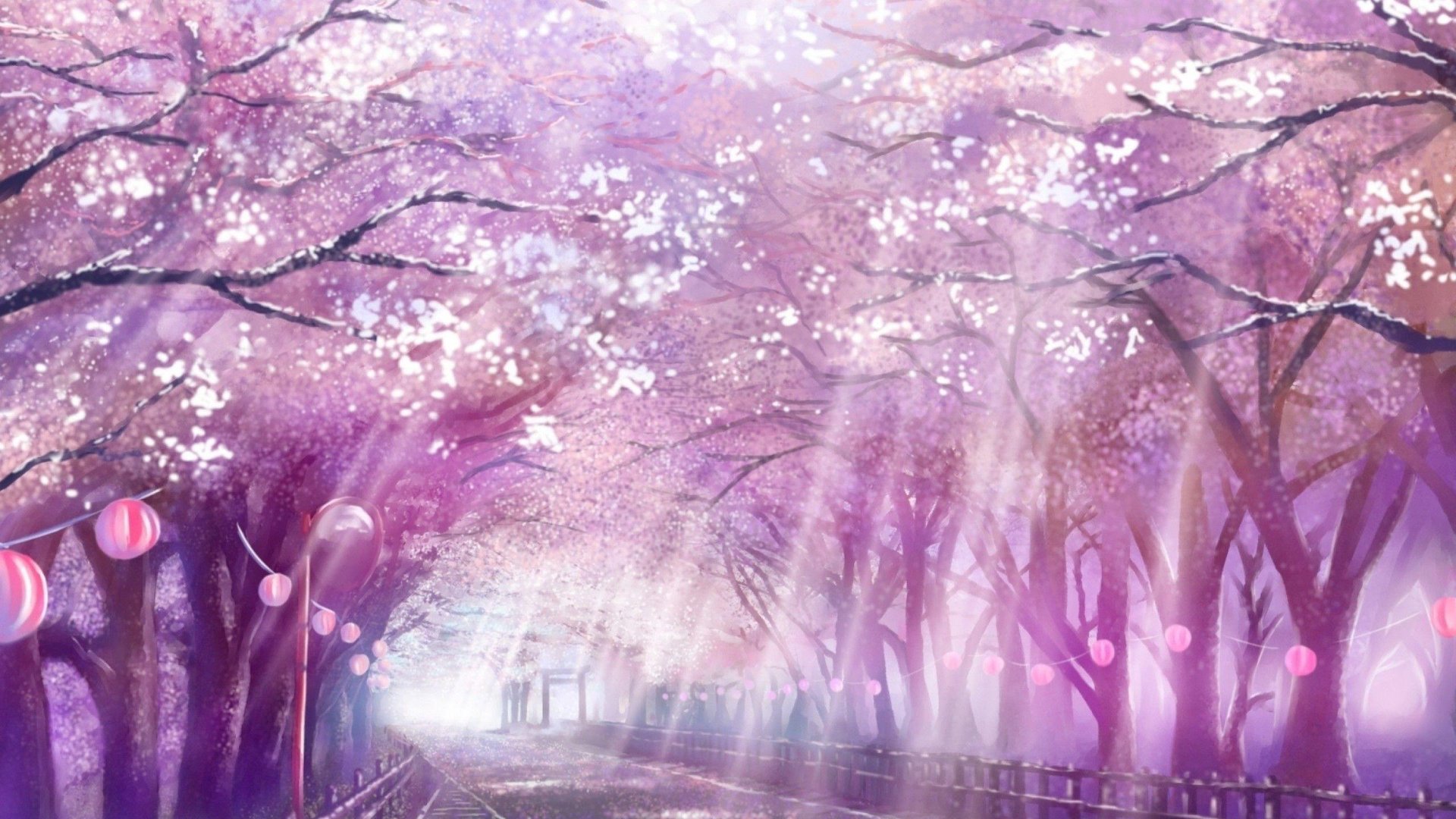 Anime Cherry Blossom 4K Wallpapers.jpg