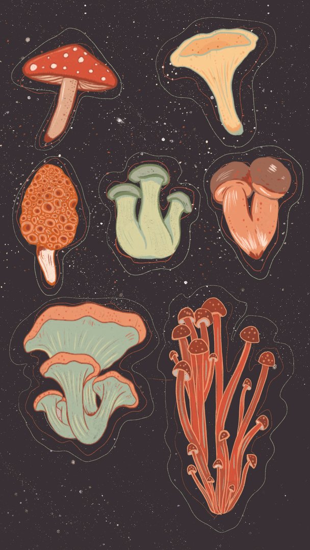 Mushroom Aesthetic Images.jpg