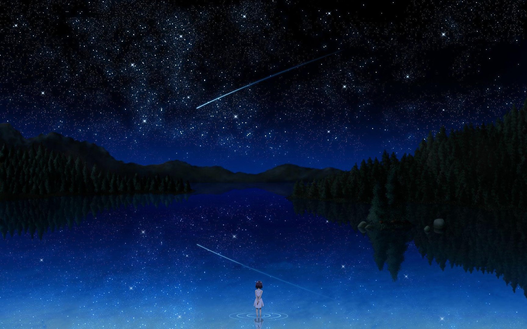 Anime Night Sky Picture.jpg