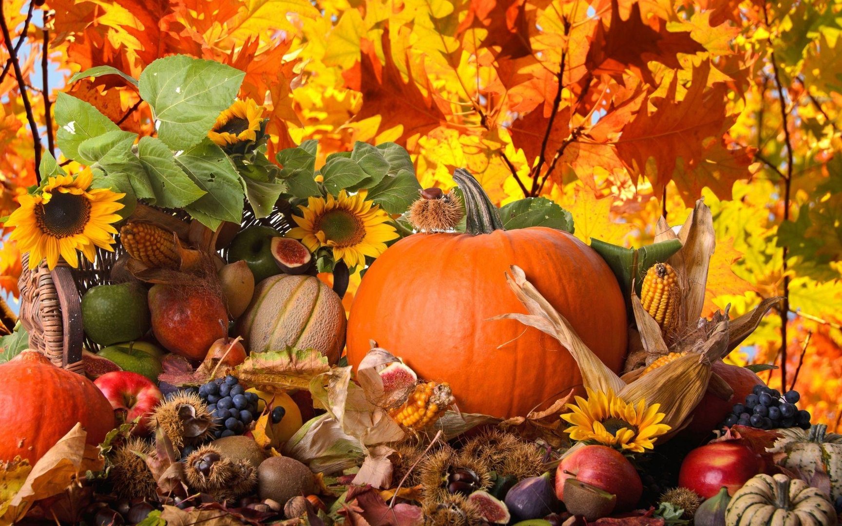 Thanksgiving pic.jpg
