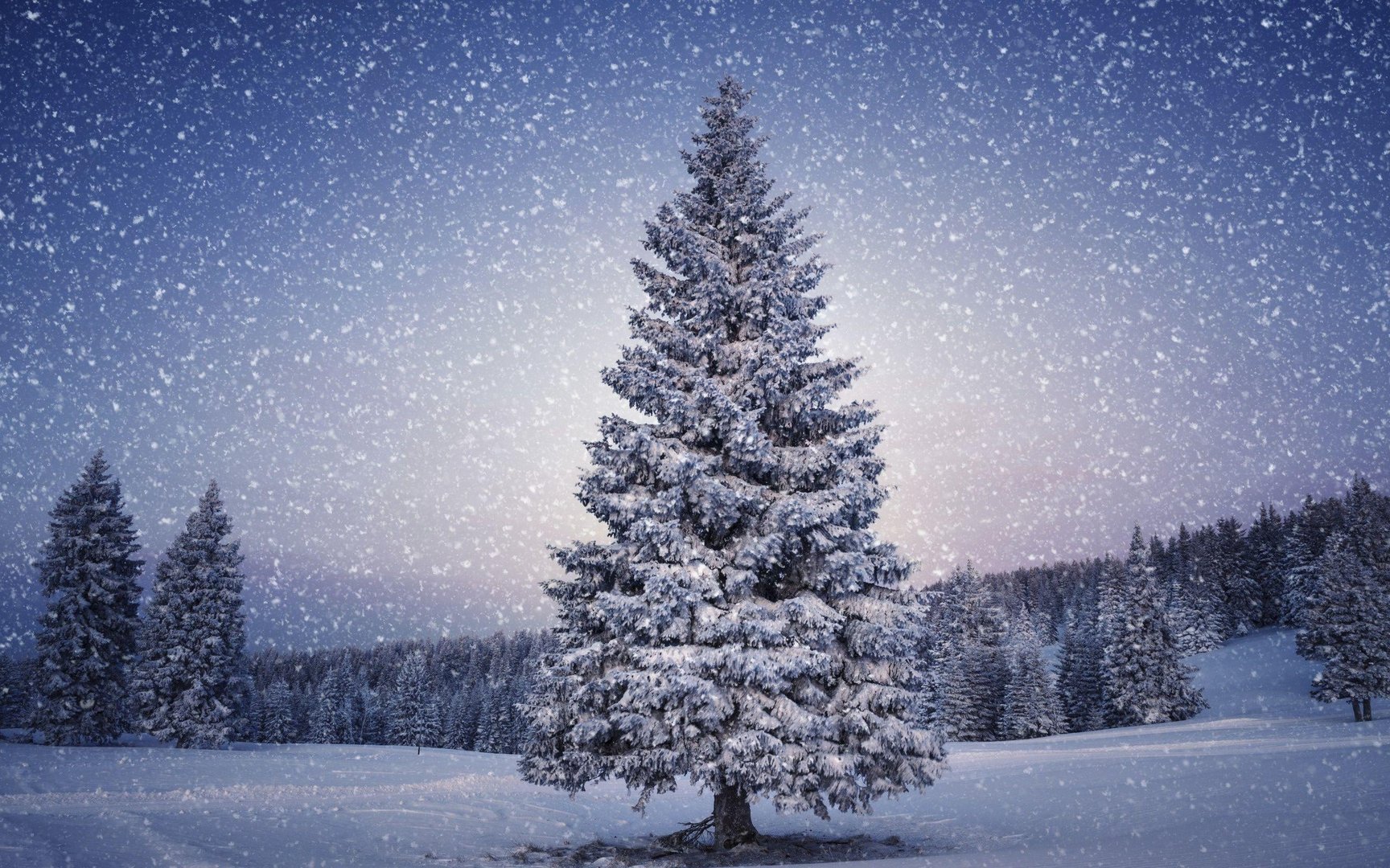 Christmas Tree wallpaper.jpg