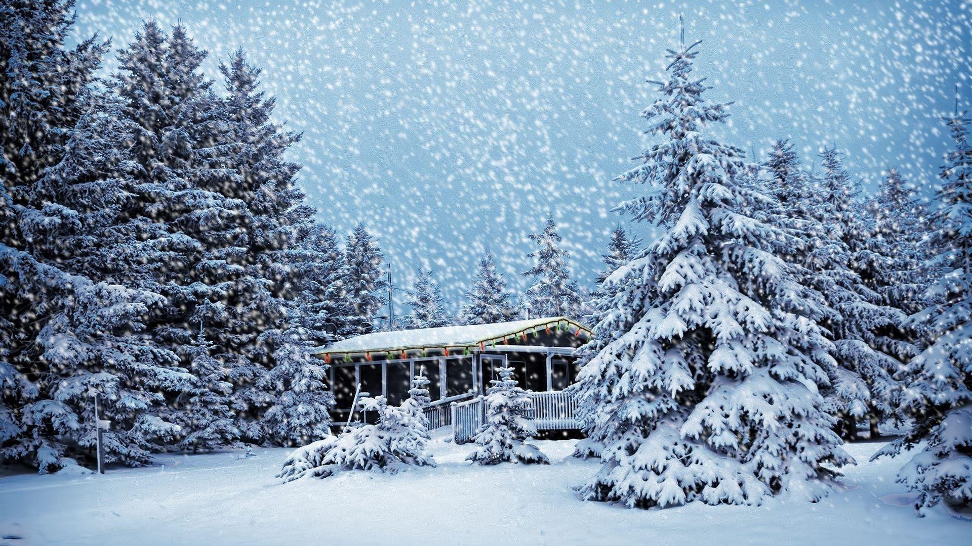 Snowy Christmas Images.jpg