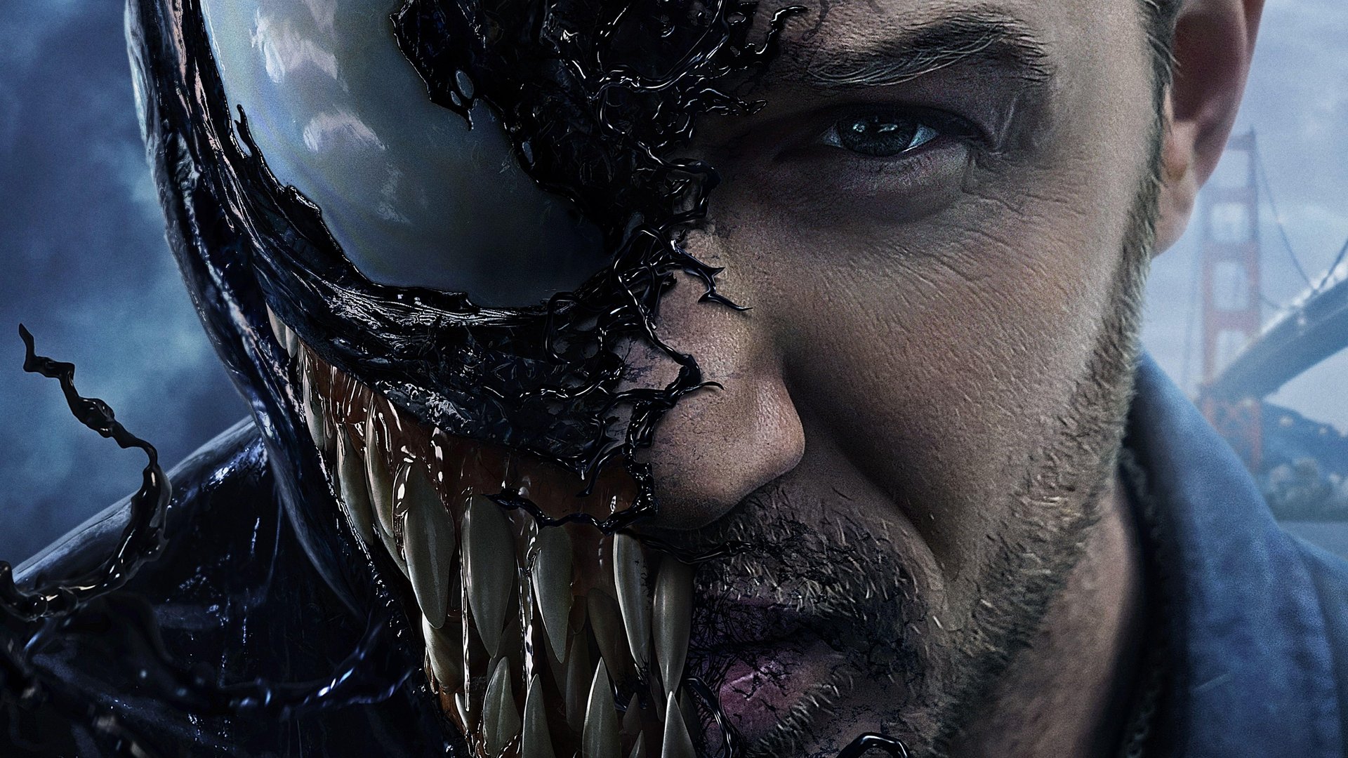 Venom Movie Wallpapers.jpg