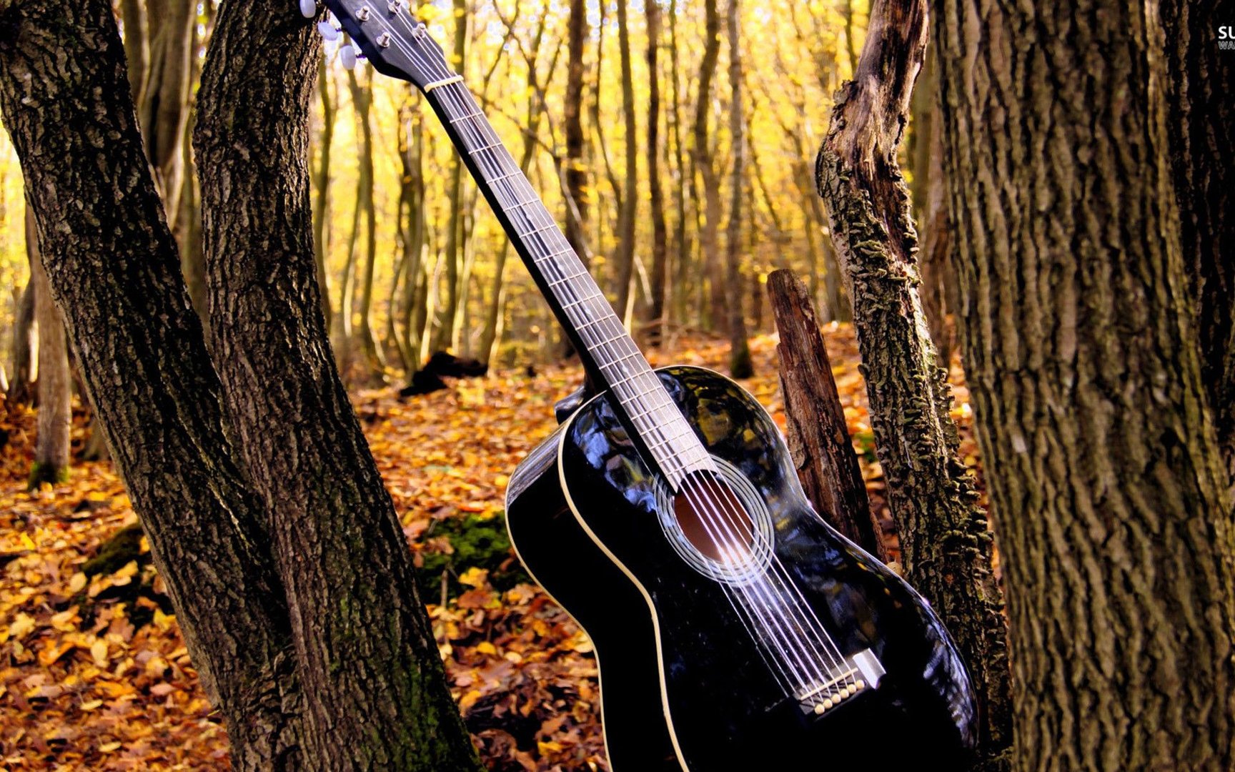 Country Music Wallpapers.jpg