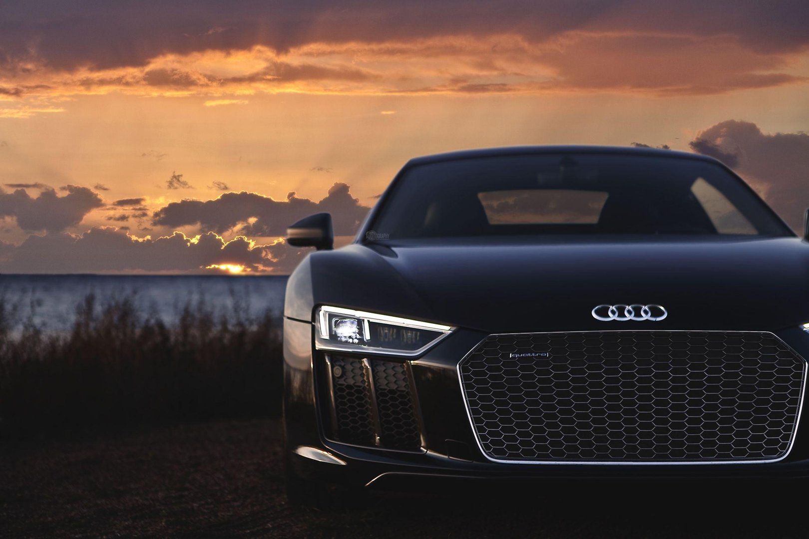 Audi R8 Picture.jpg