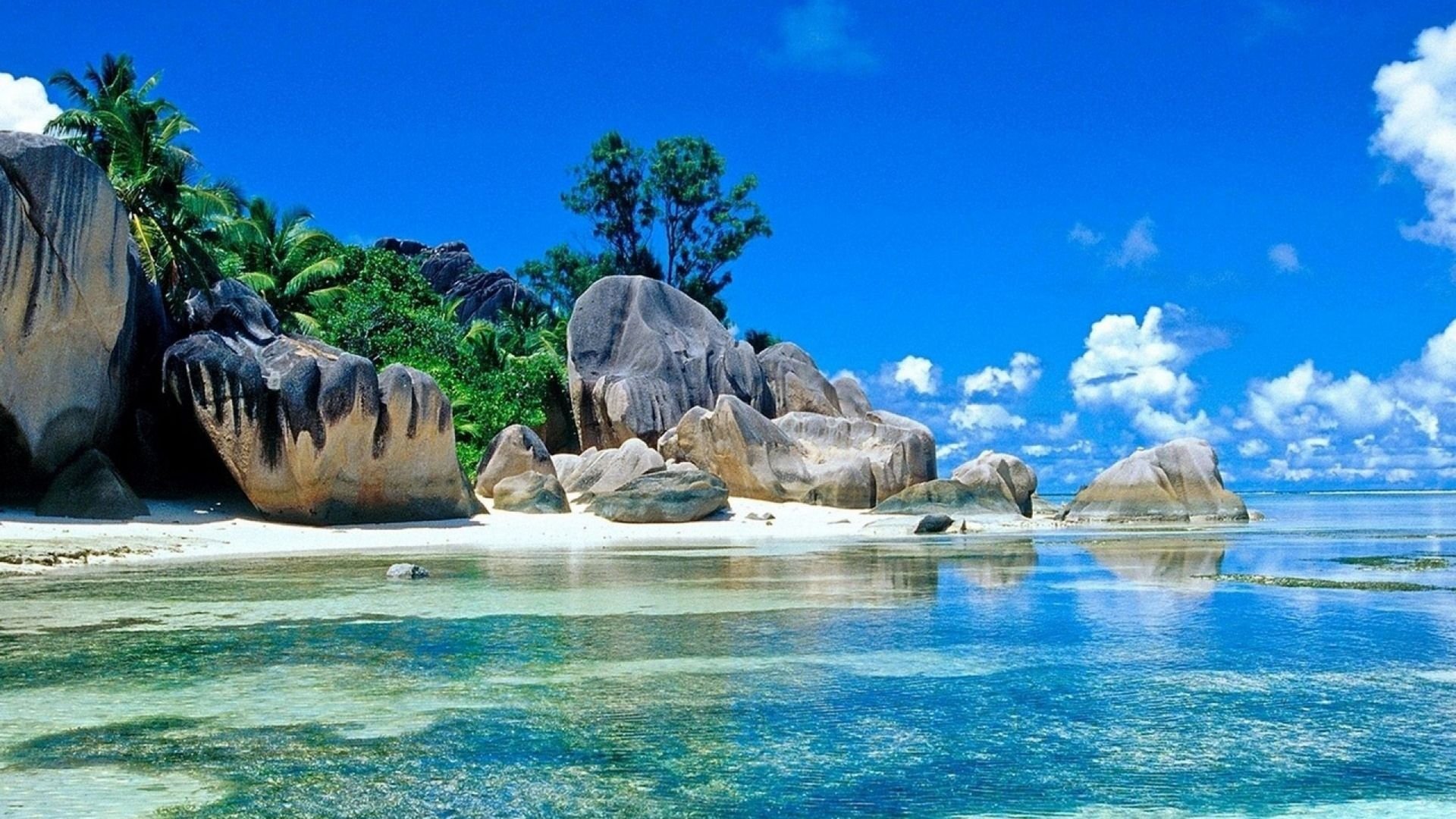 Best Free Summer Wallpaper.jpg