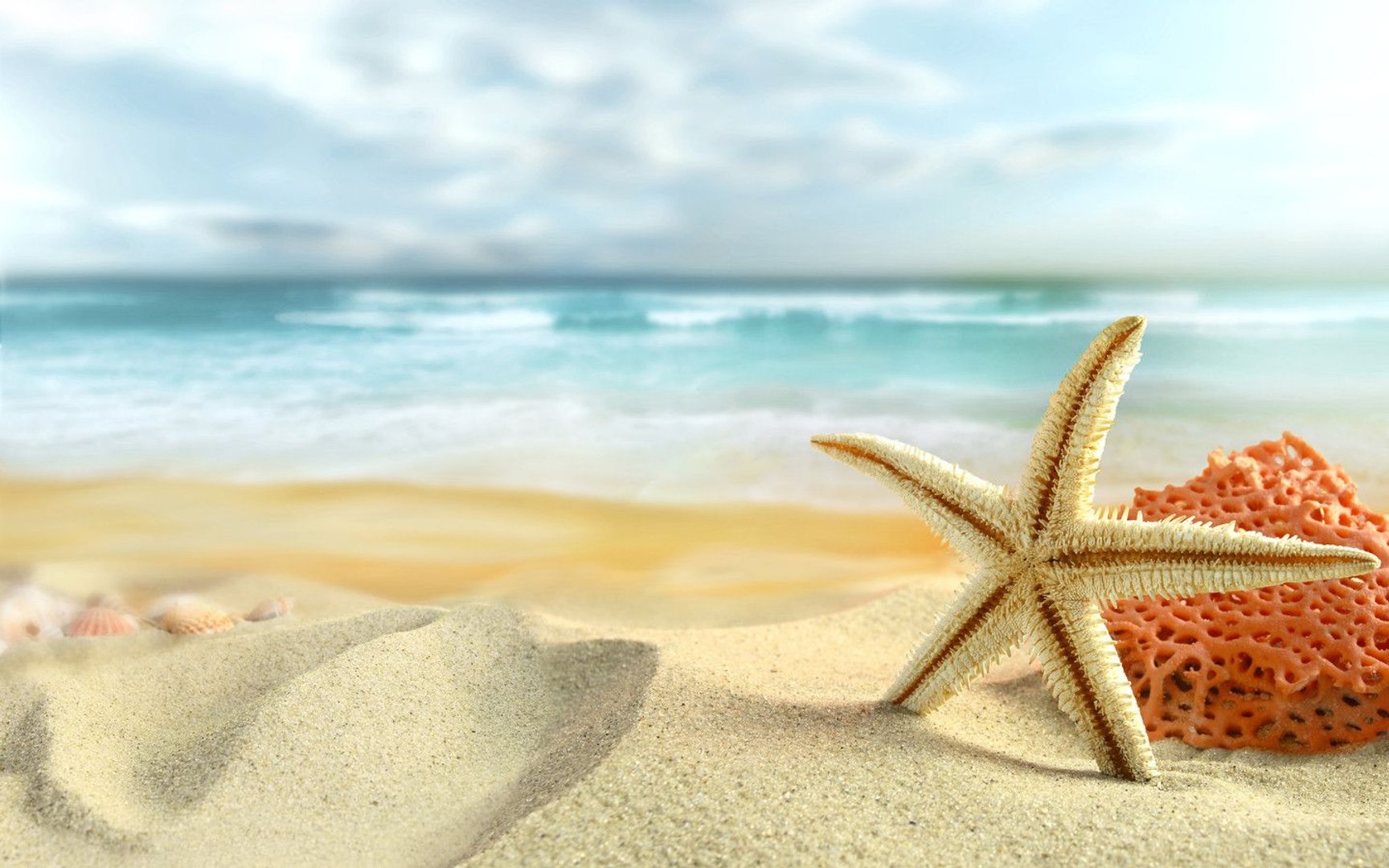 Summer Wallpaper Desktop.jpg