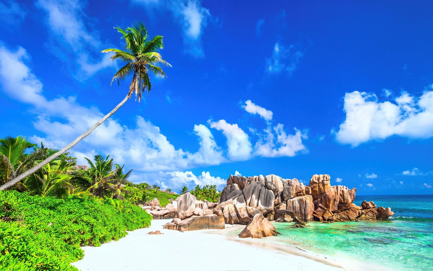 Wallpaper Summer.jpg