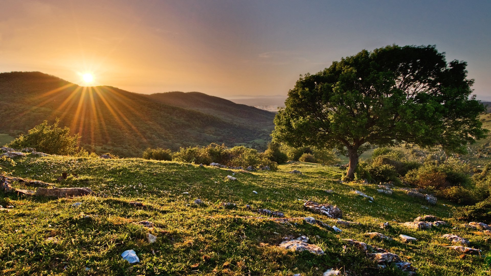 4K Nature Images.jpg