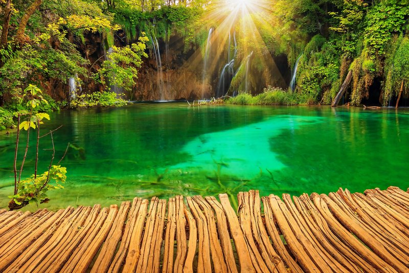 4K Nature