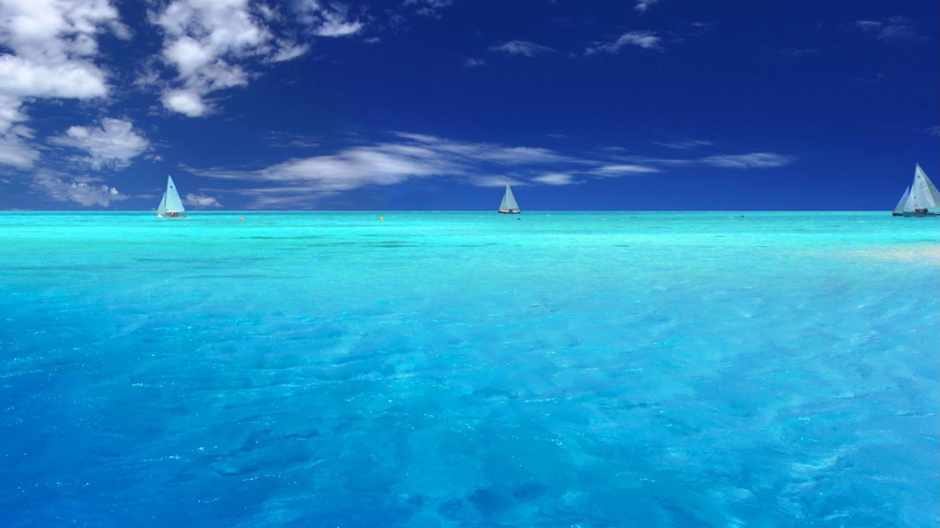 Ocean Wallpapers.jpg