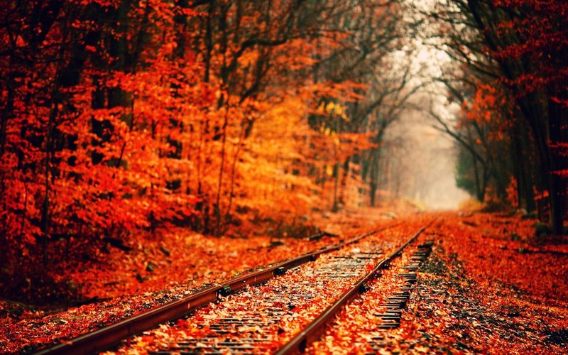 Fall