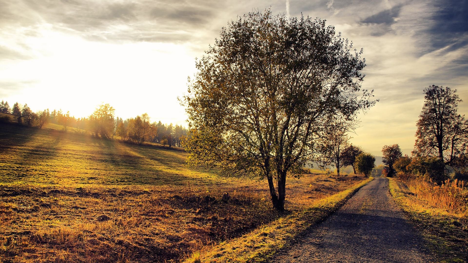 Country pics.jpg