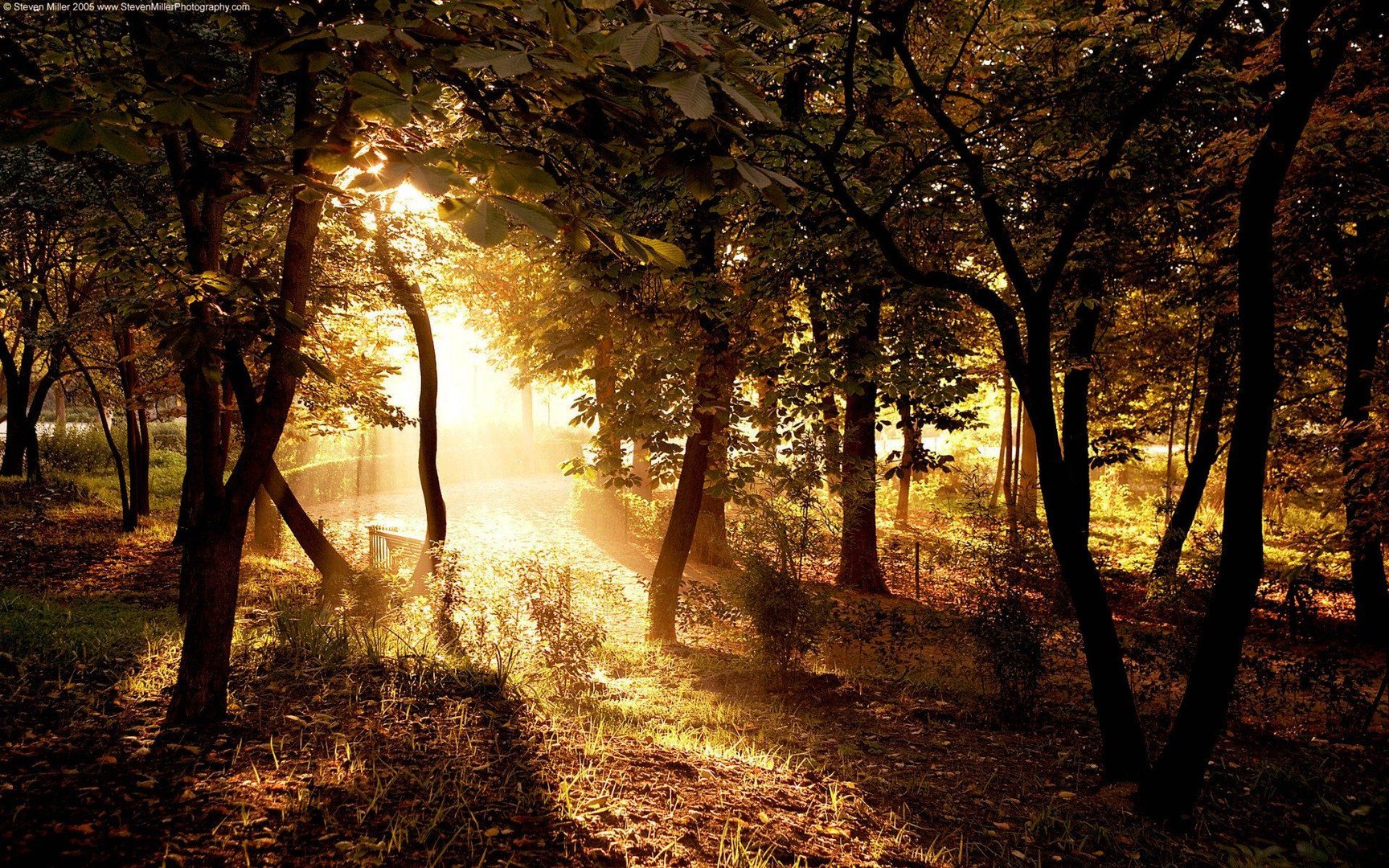 Country Wallpaper.jpg