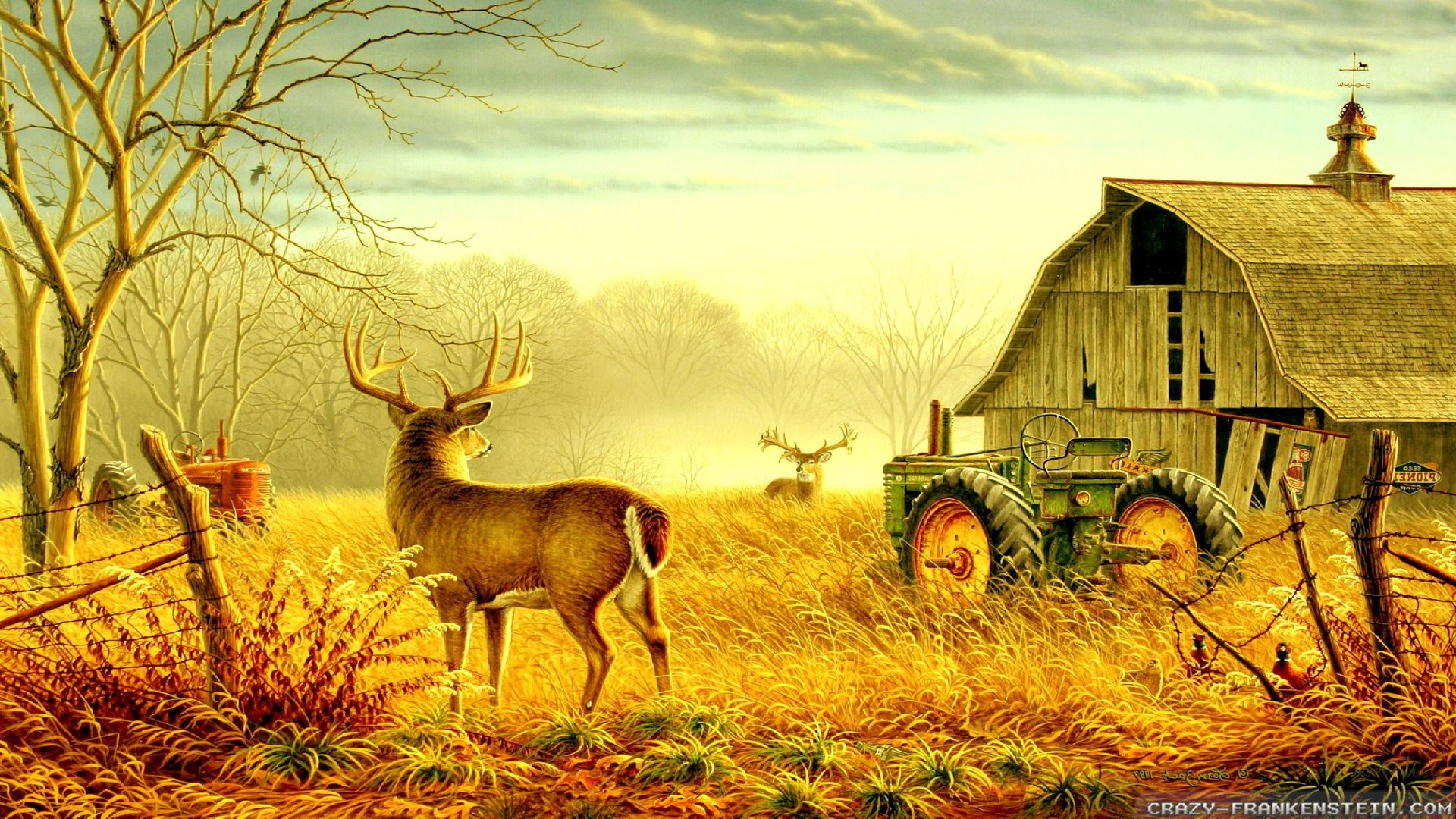 Country Wallpapers.jpg