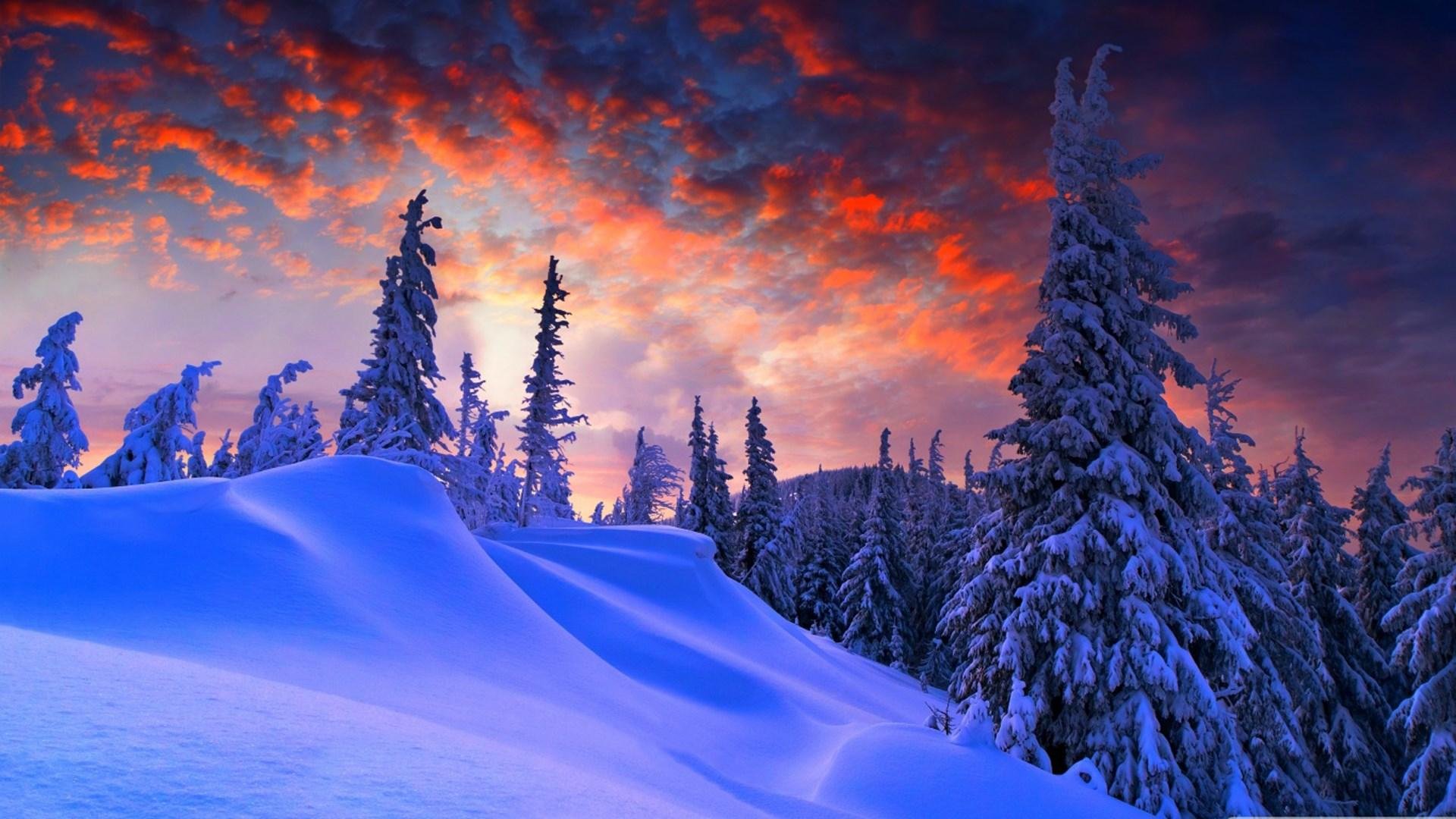 Windows Winter Wallpapers.jpg