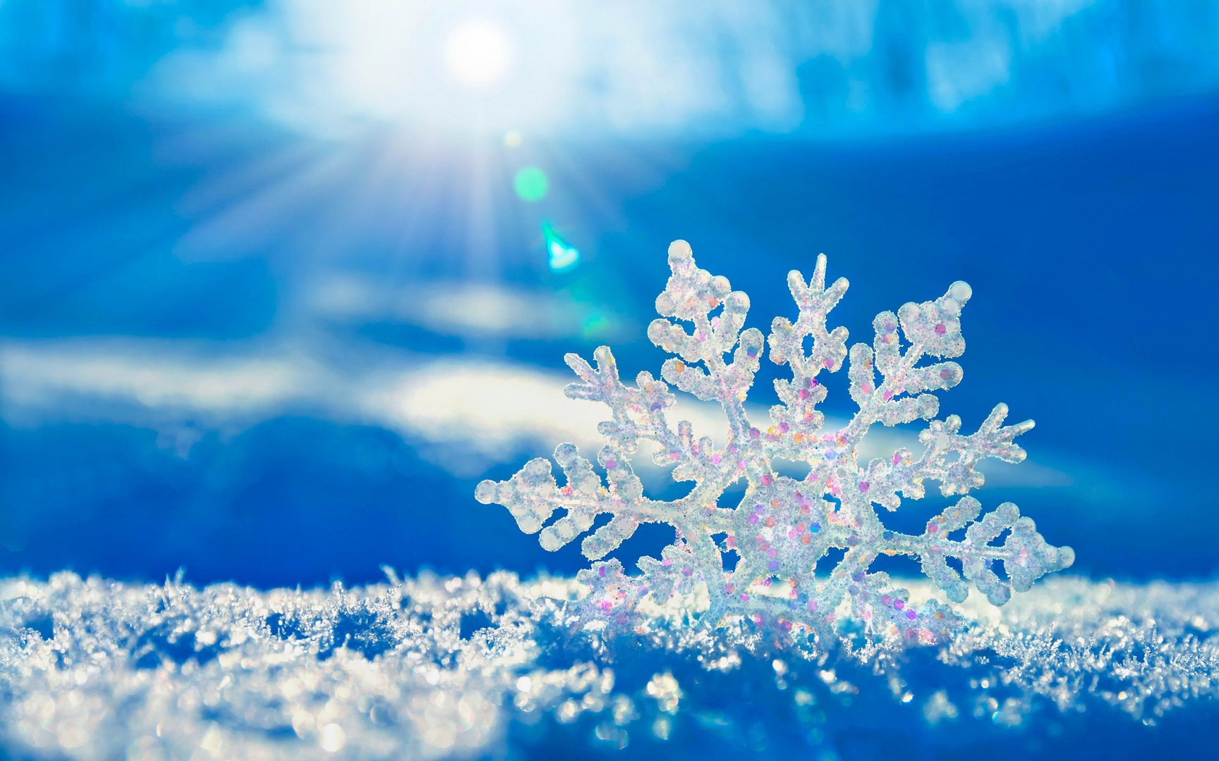 Winter Wallpapers.jpg