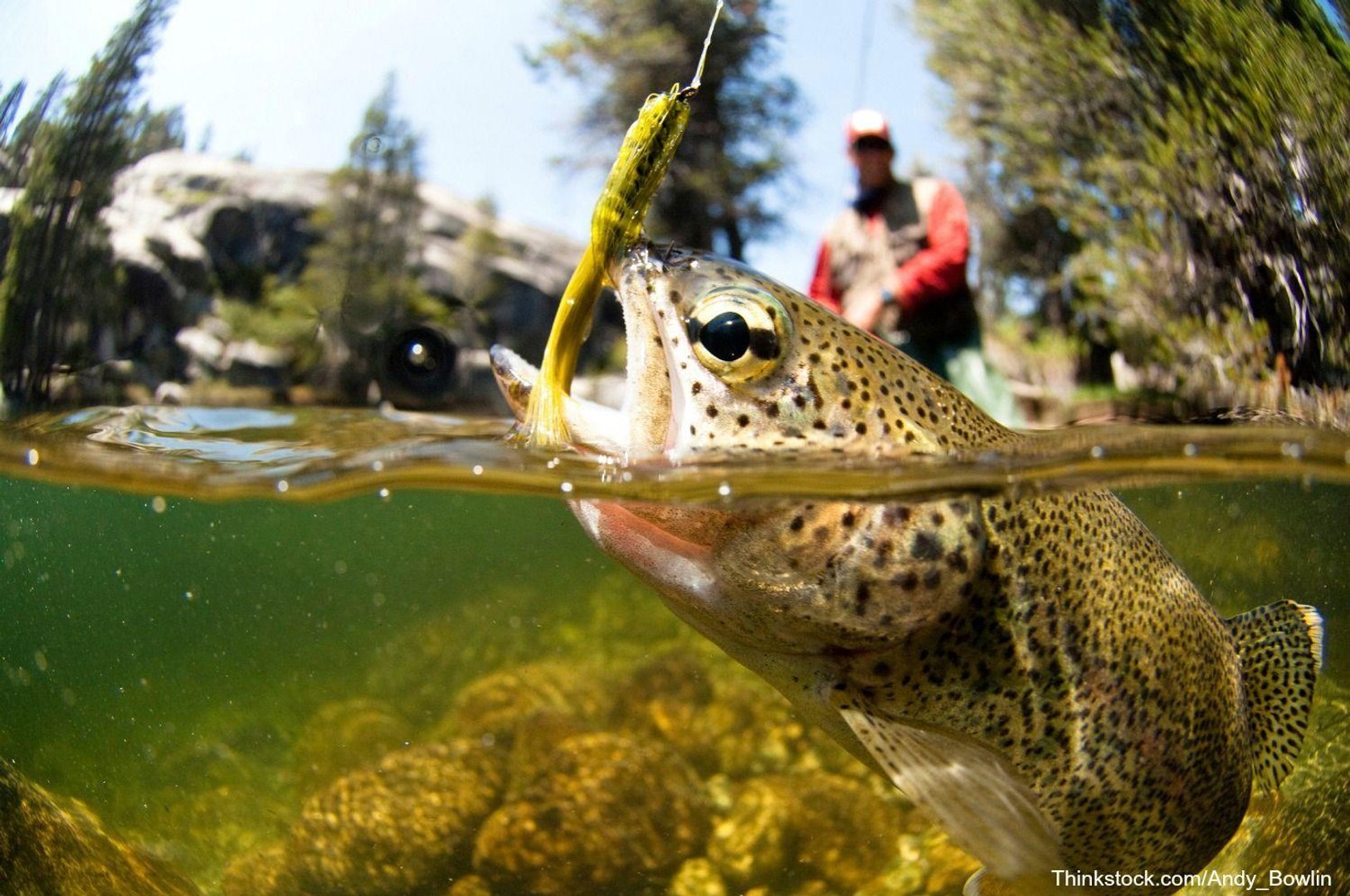 Fishing pictures.jpg
