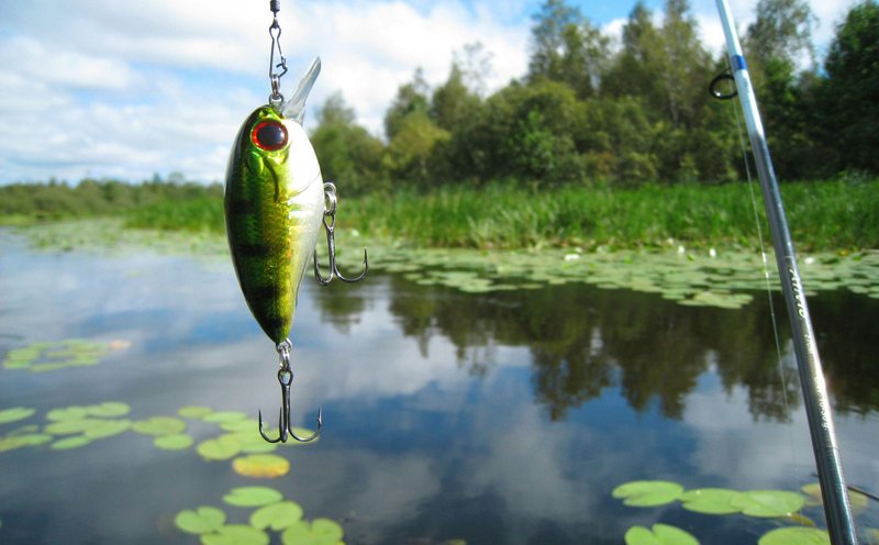 Fishing