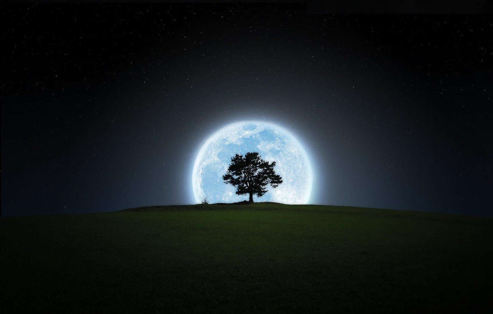 Moon picture.jpg