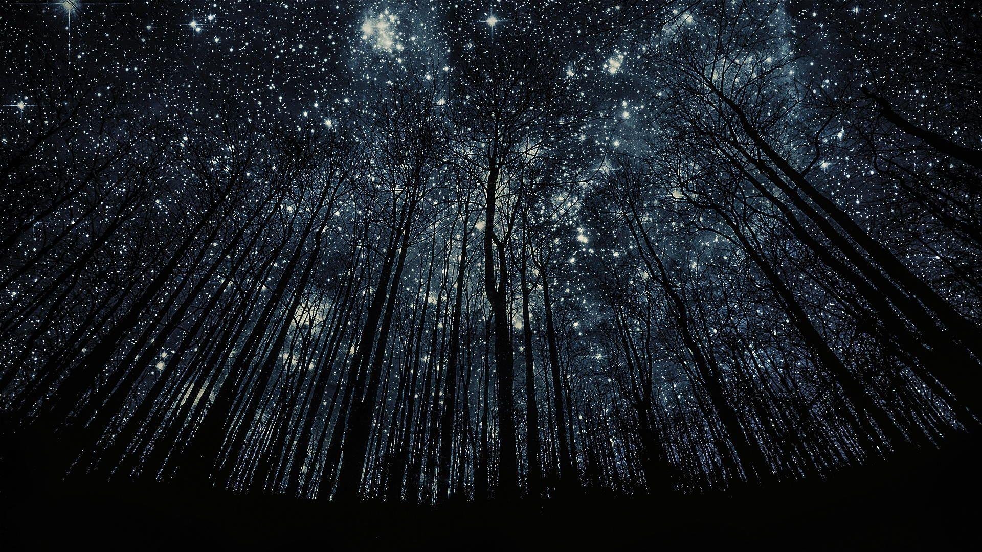 Night Sky picture.jpg