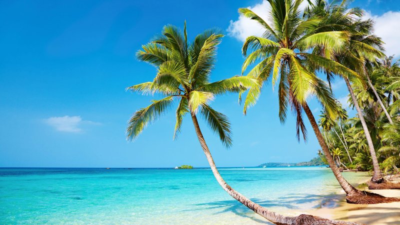 4K Ultra HD Beach