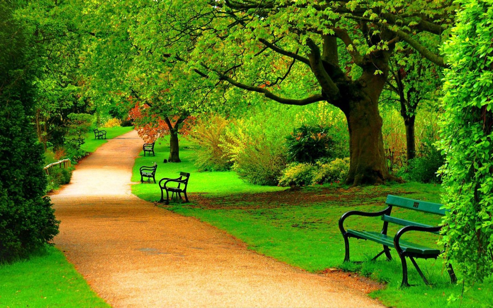 Park picture.jpg
