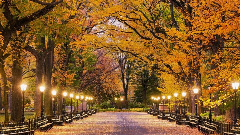 Park