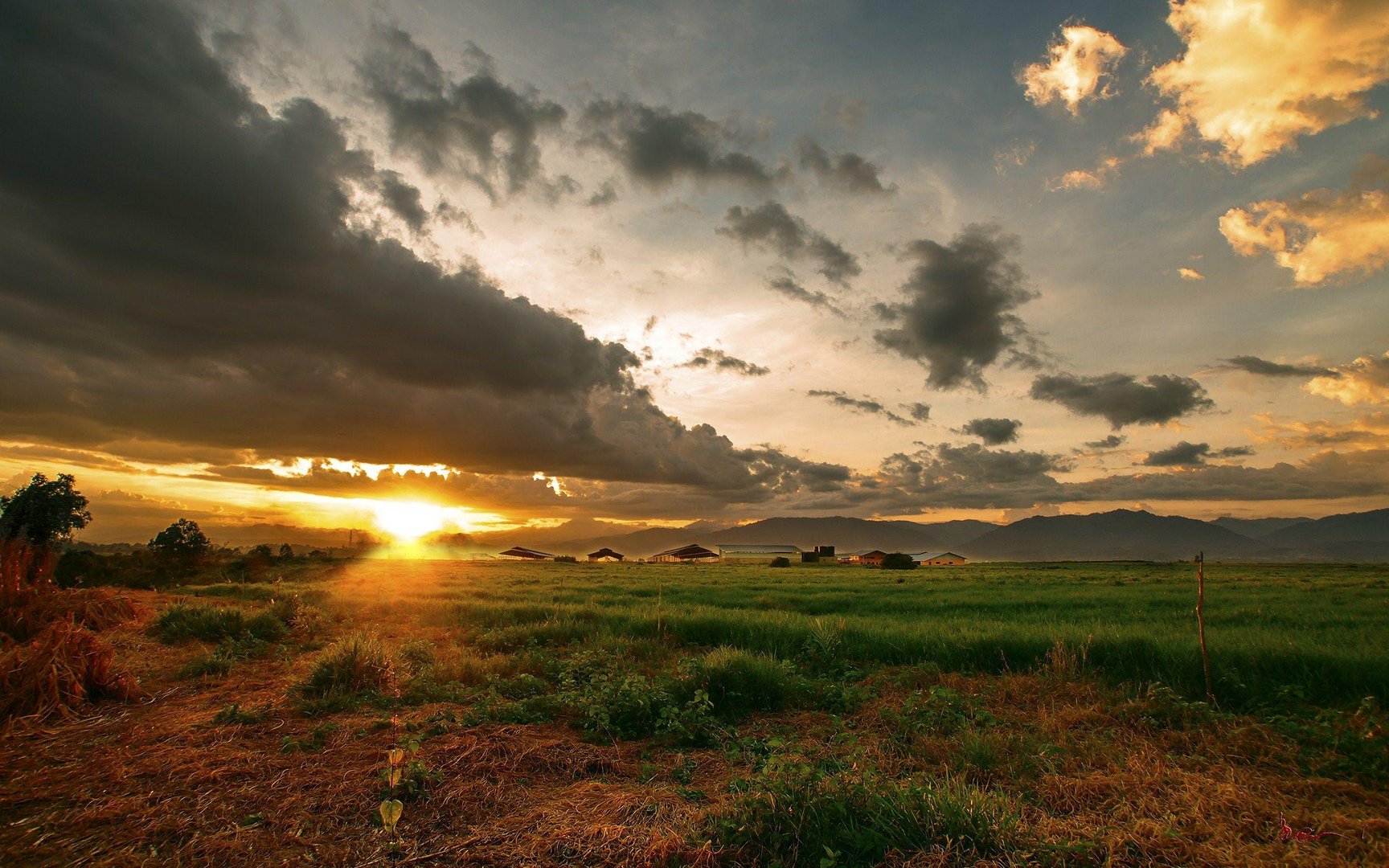 Sunrise wallpaper.jpg