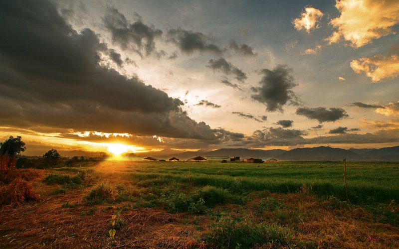 Sunrise