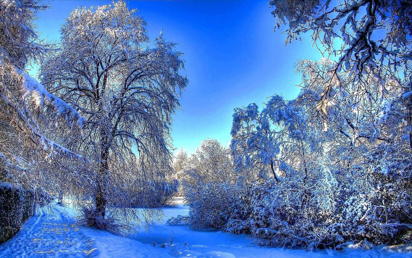 Beautiful Winter pics.jpg