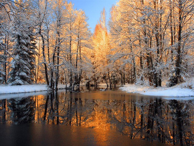 Cozy Winter