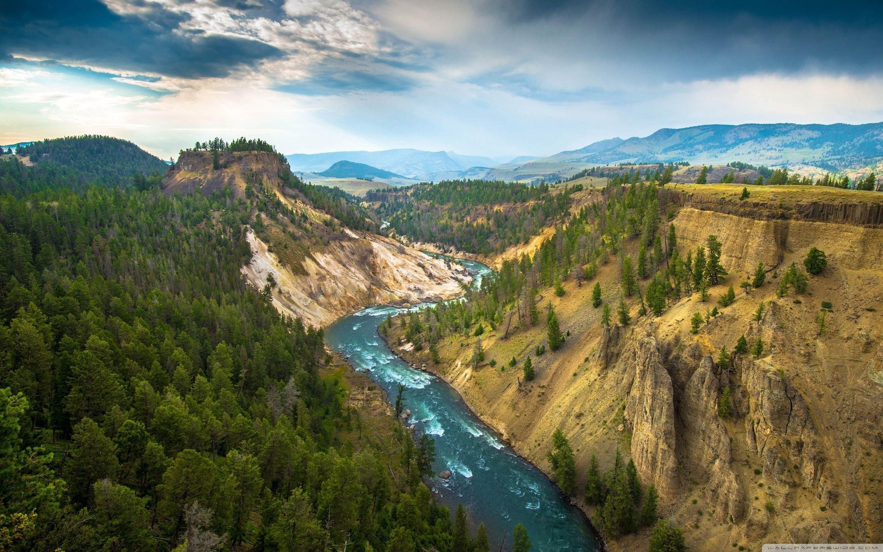 Yellowstone Images.jpg