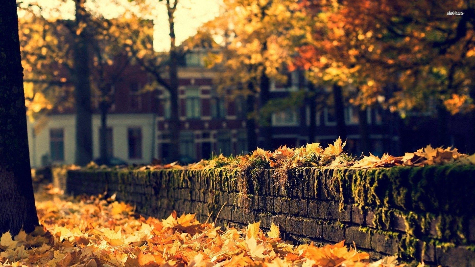 Cozy Fall Desktop Wallpapers.jpg
