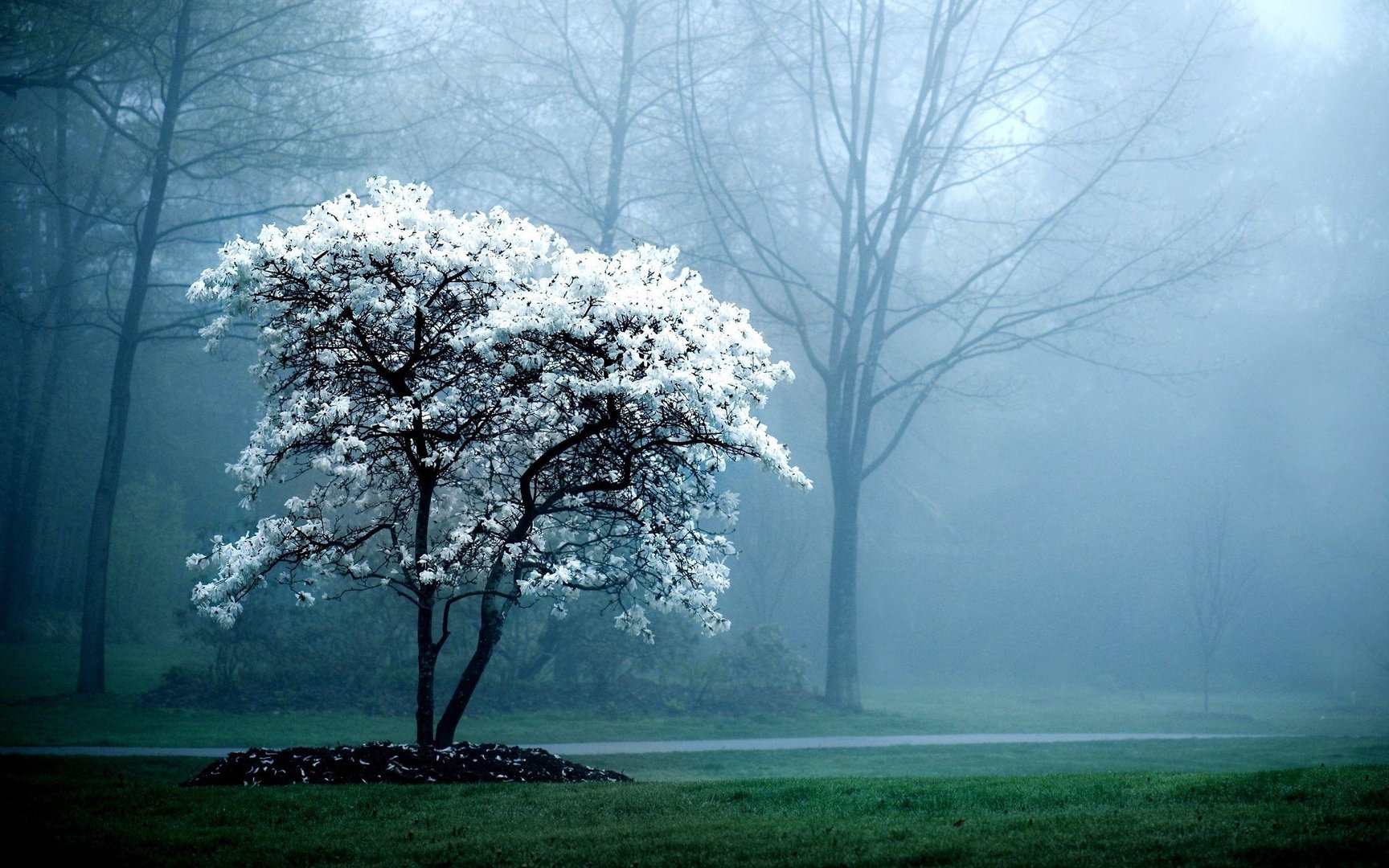 Peaceful Pictures.jpg