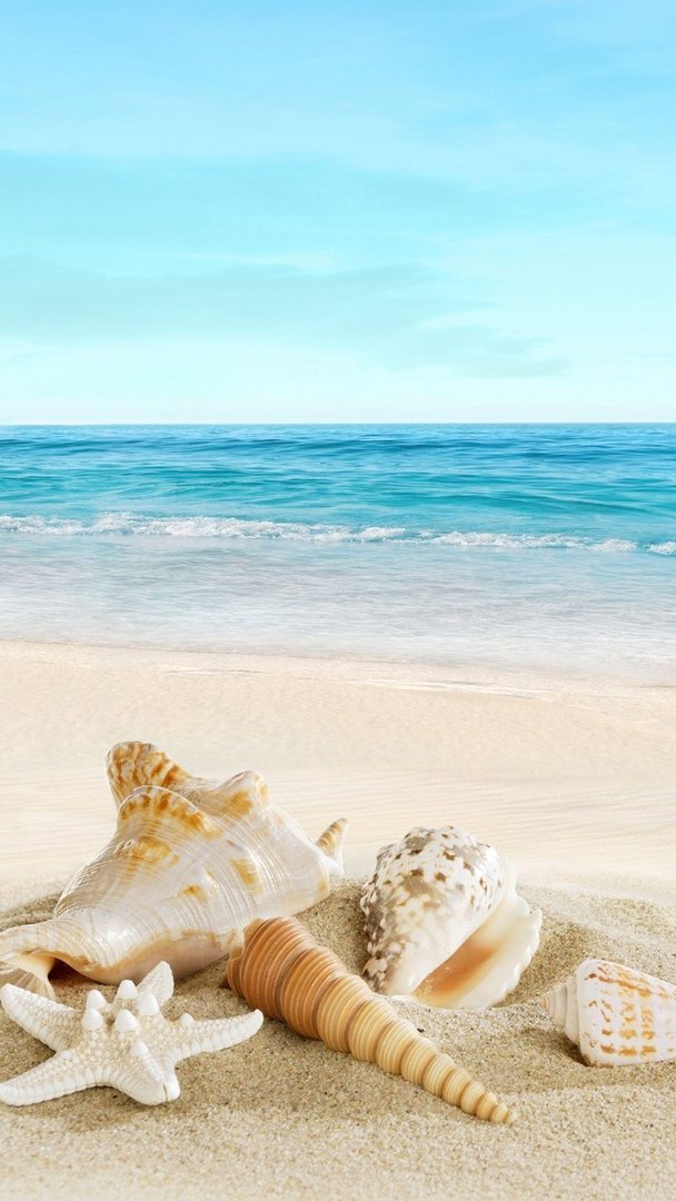 Beachy  Image.jpg