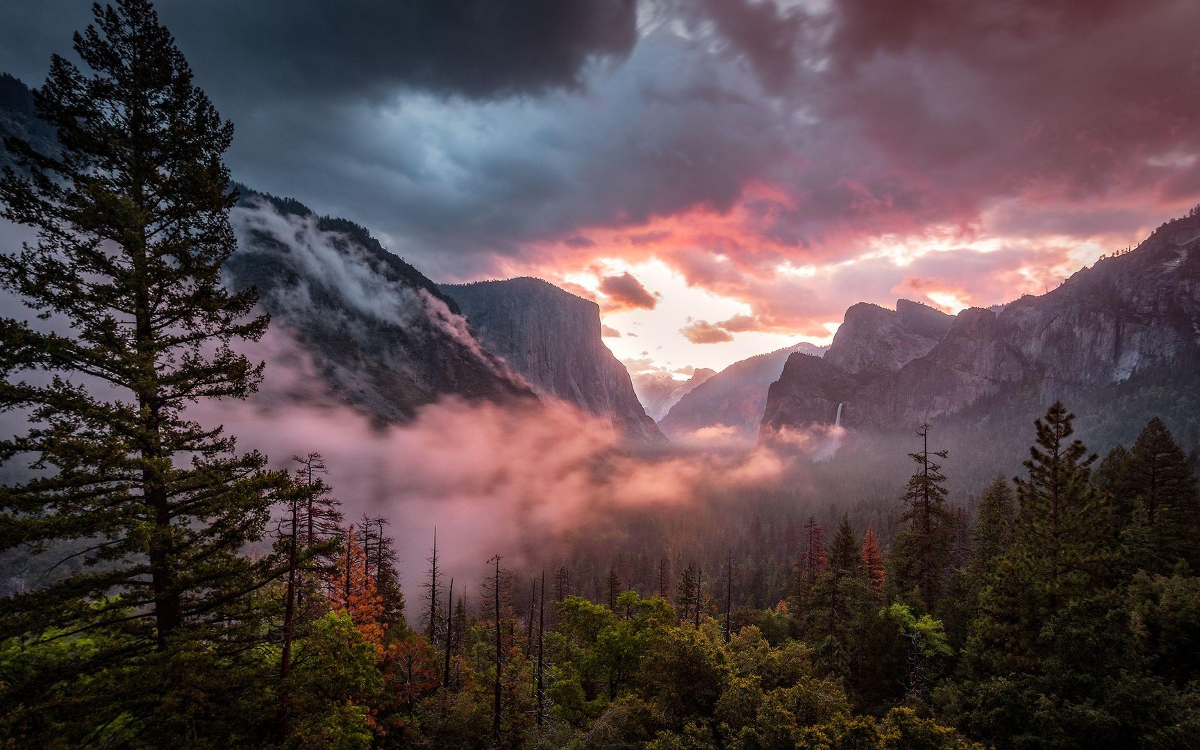 2560X1600 Image.jpg