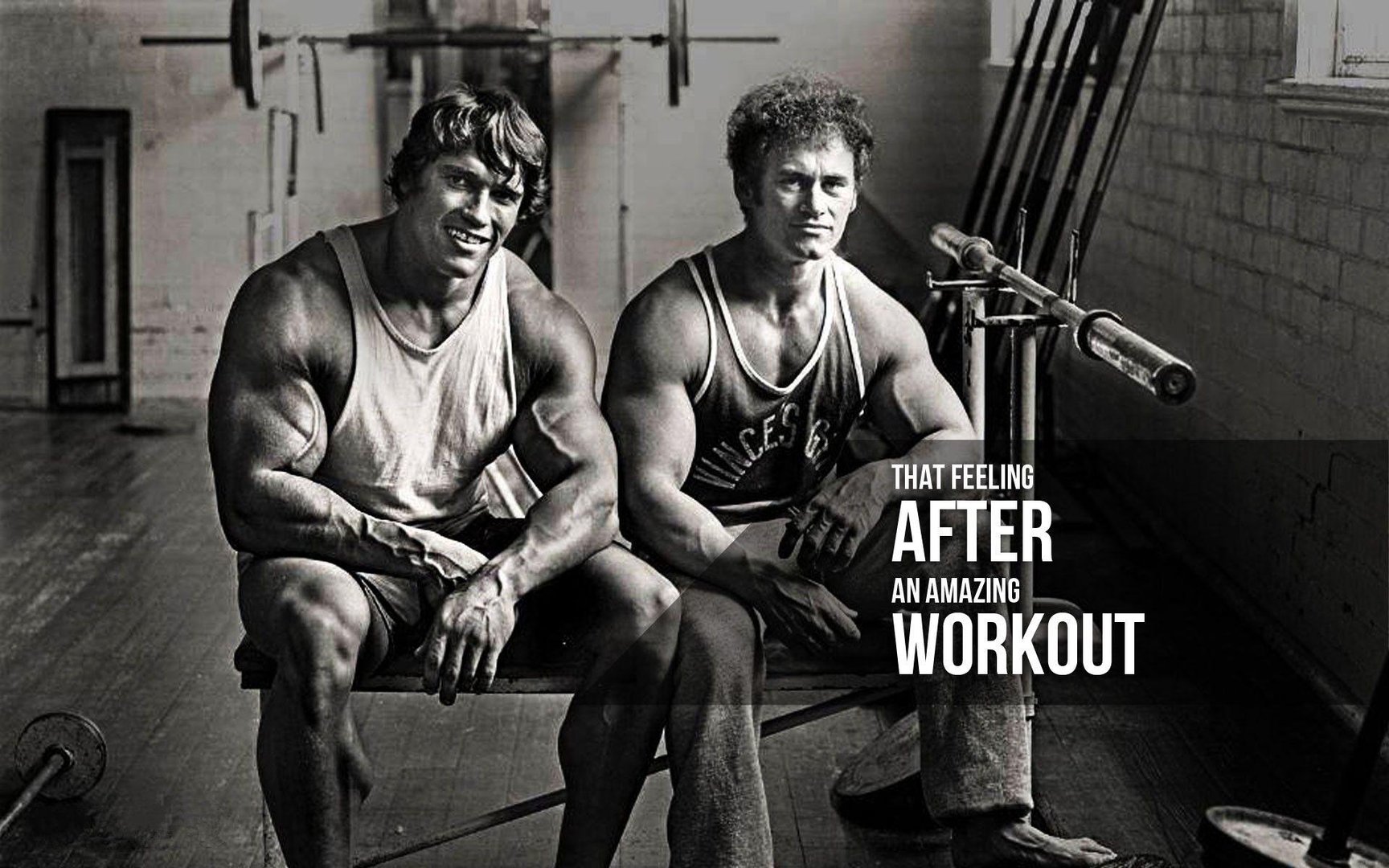 Arnold Schwarzenegger Pictures.jpg