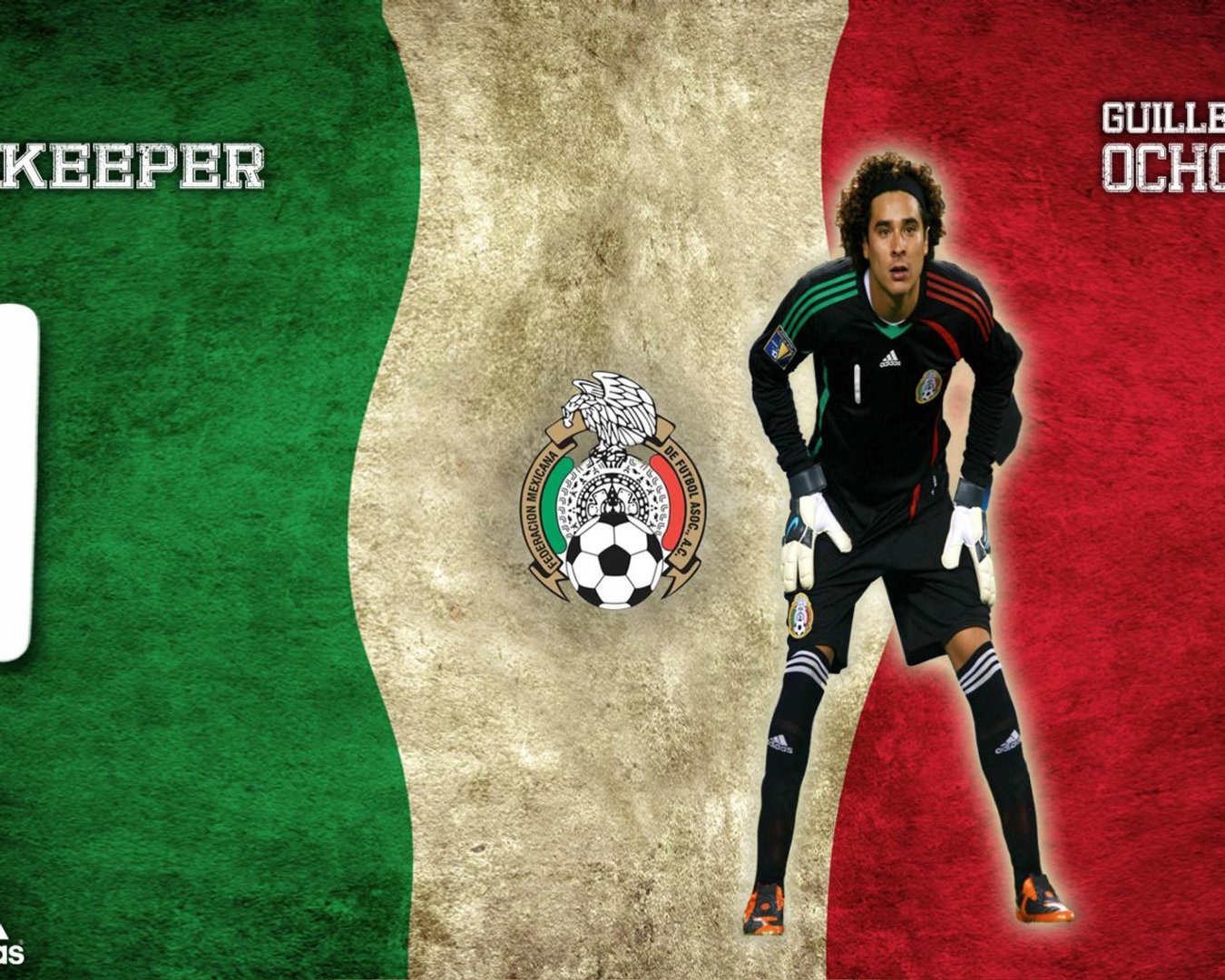Ochoa Image.jpg