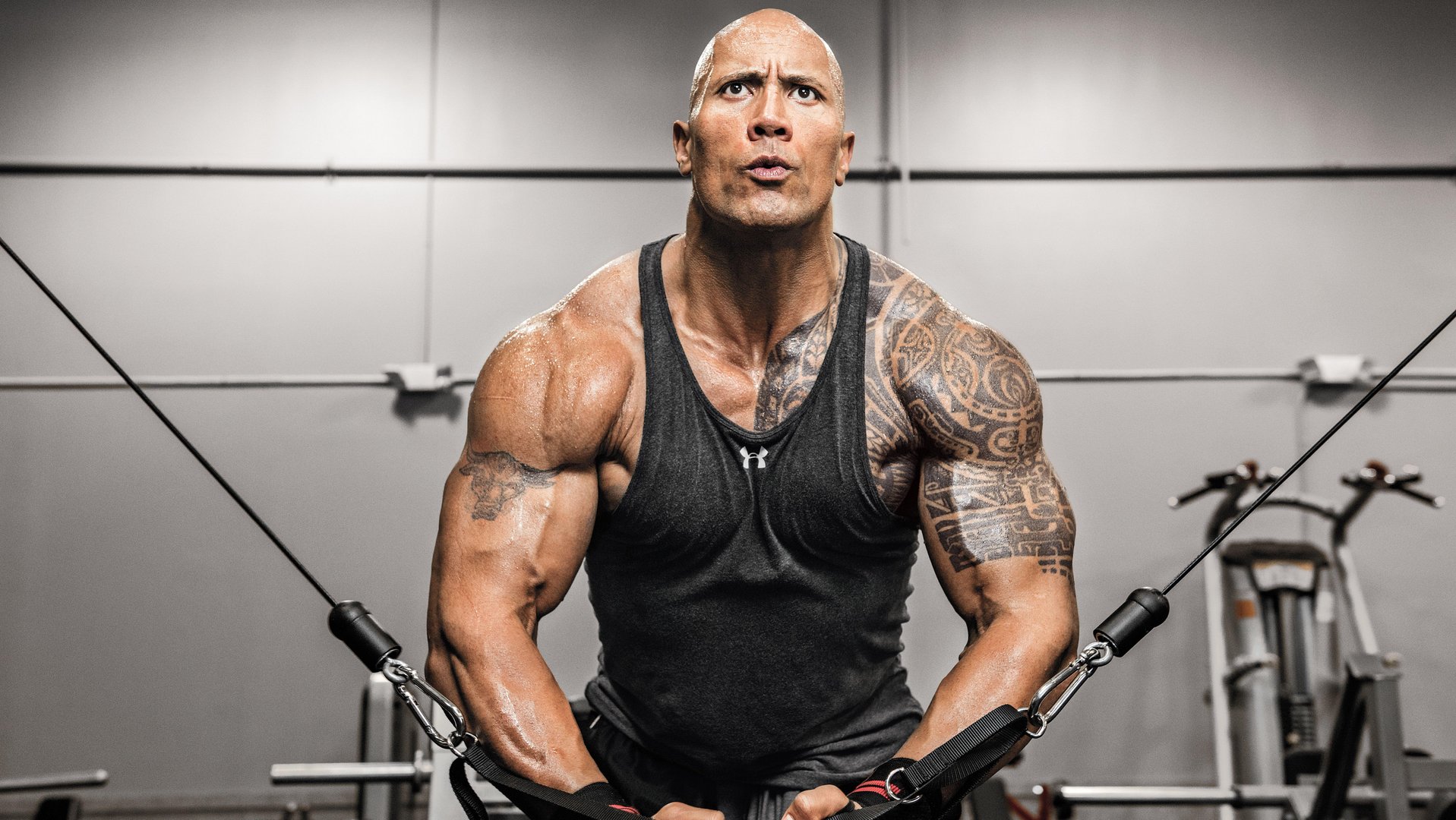 The Rock Wallpapers.jpg