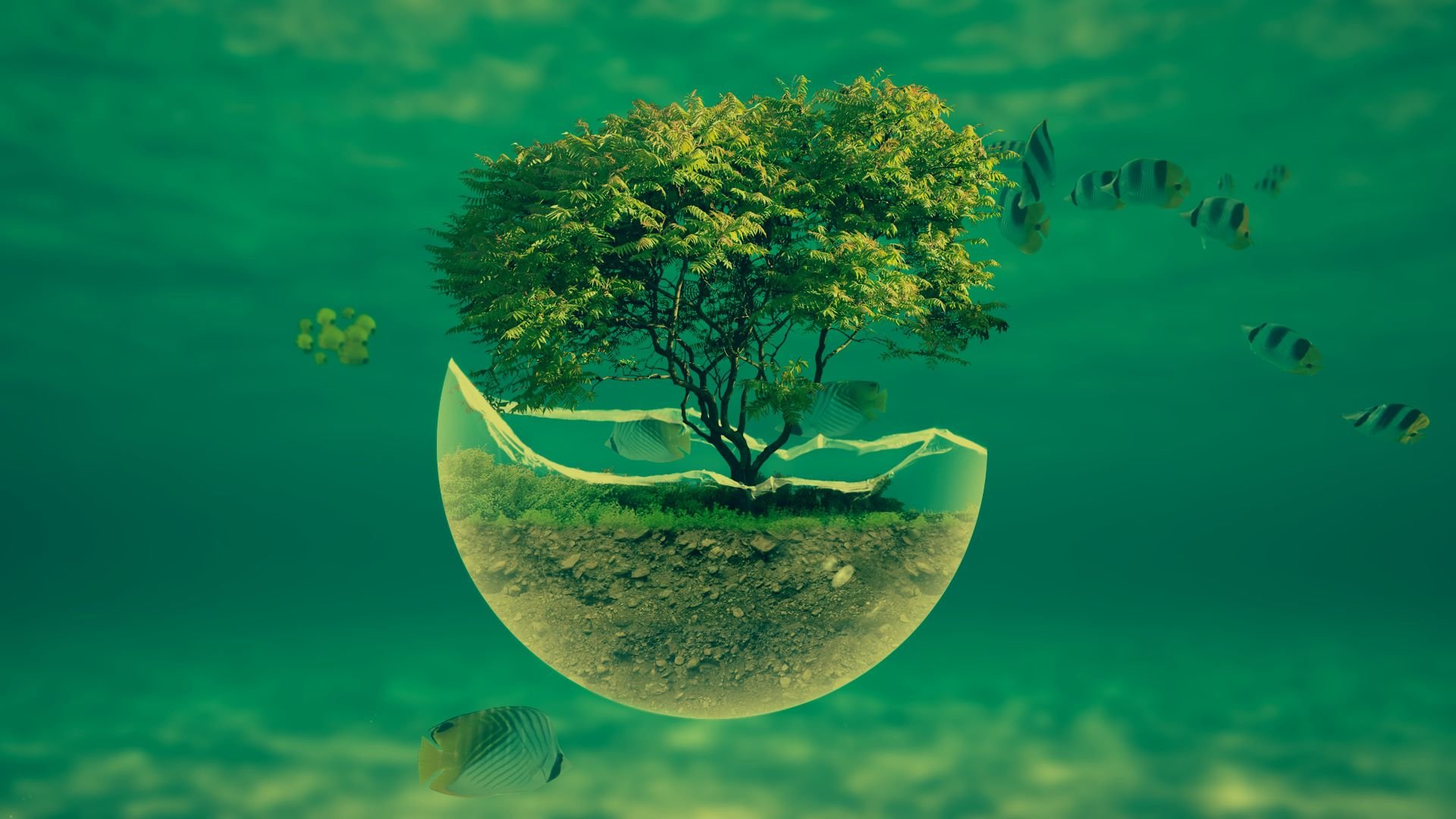 HD Wallpapers.jpg