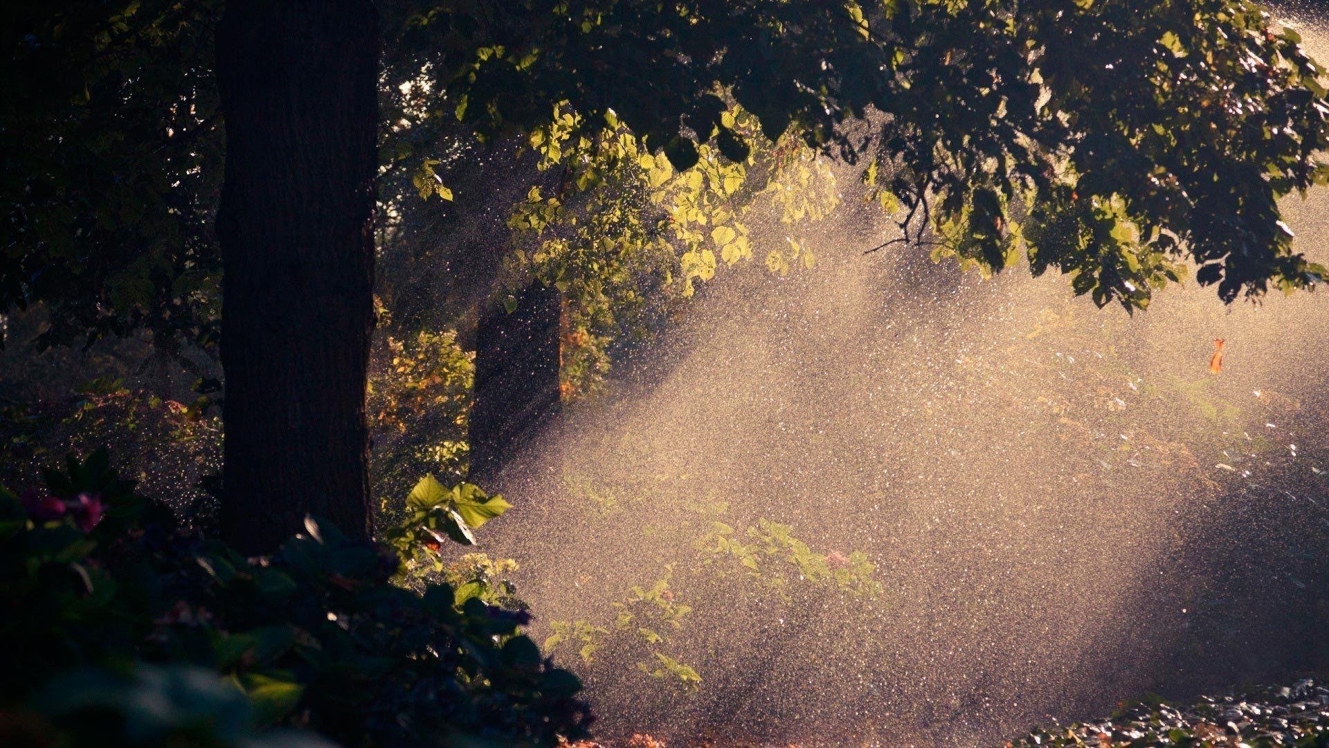 Rain Wallpapers.jpg