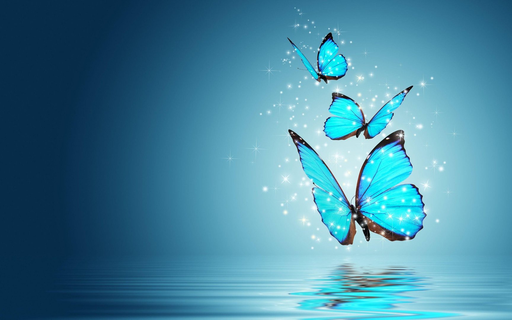 Blue Butterfly pictures.jpg