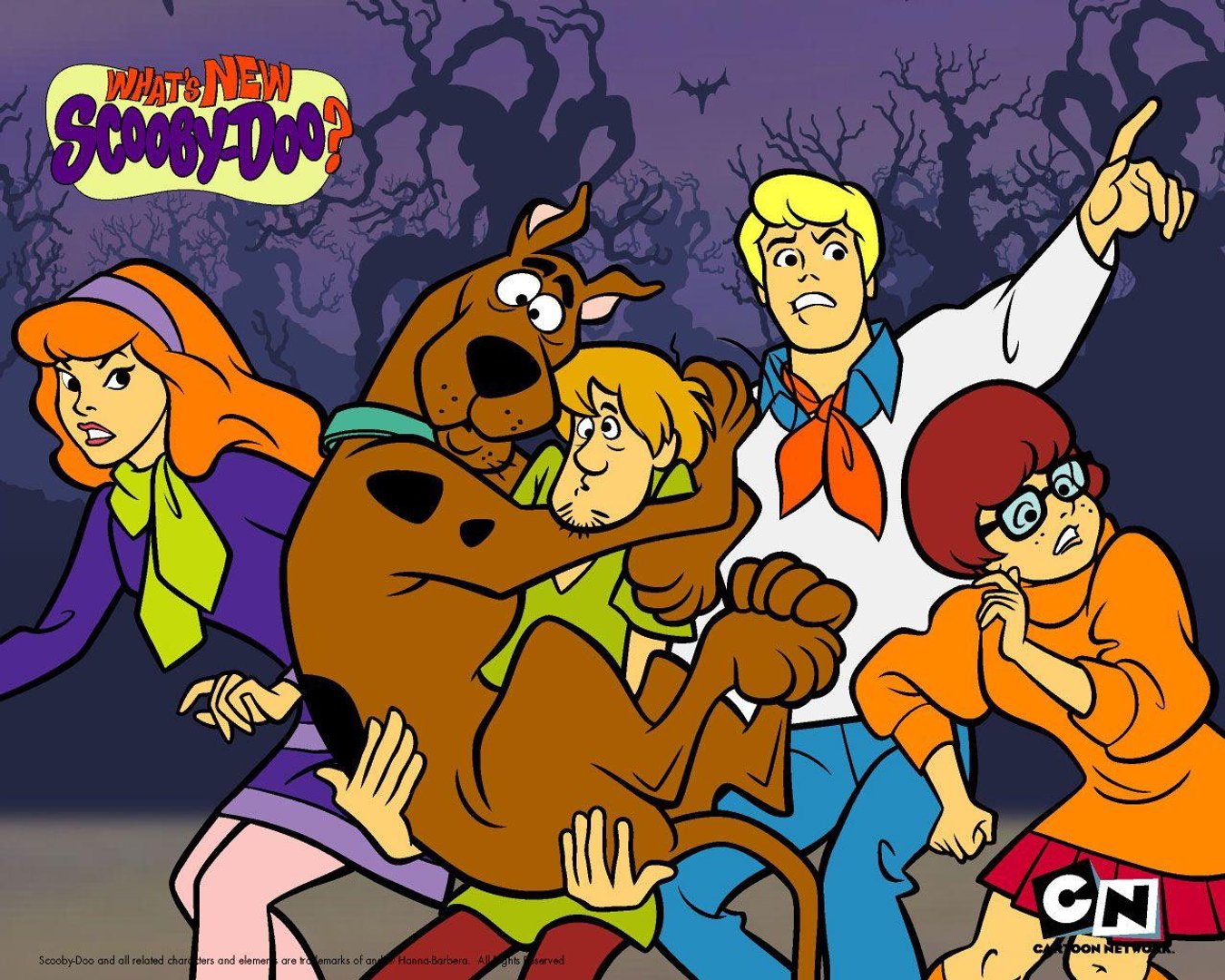 Scooby Doo pictures.jpg