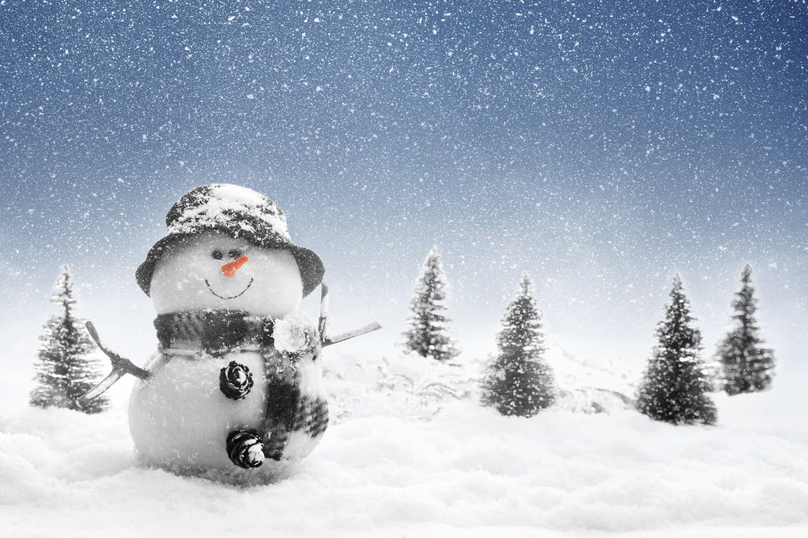 Snowman Image.jpg