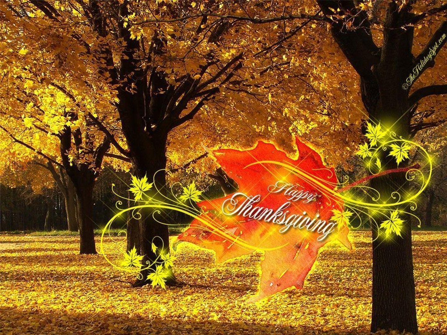 Beautiful Thanksgiving Image.jpg