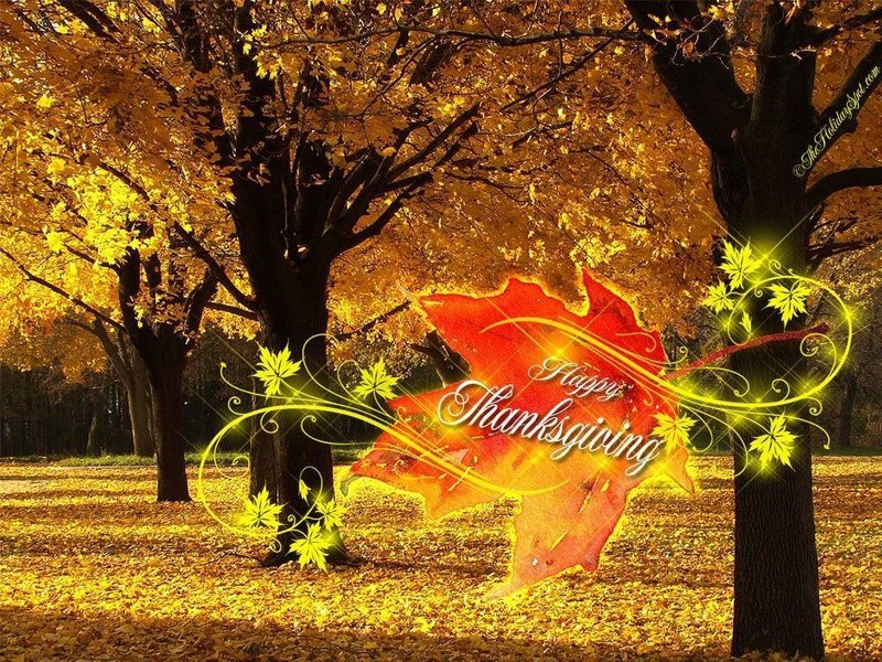 Beautiful Thanksgiving