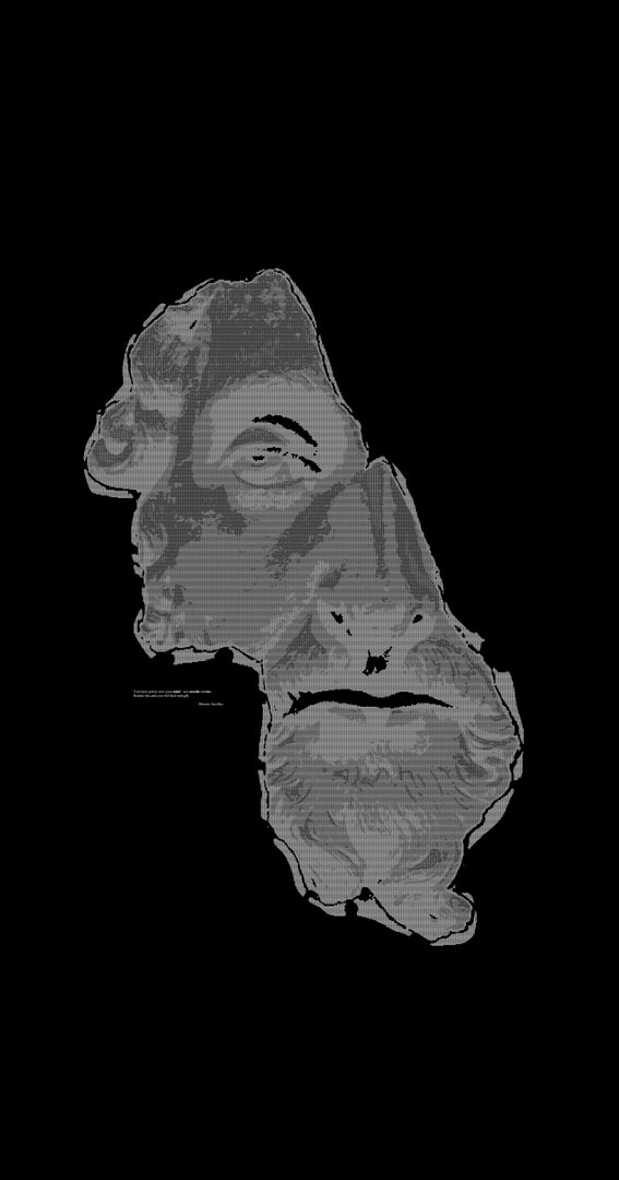 Marcus Aurelius Picture.jpg