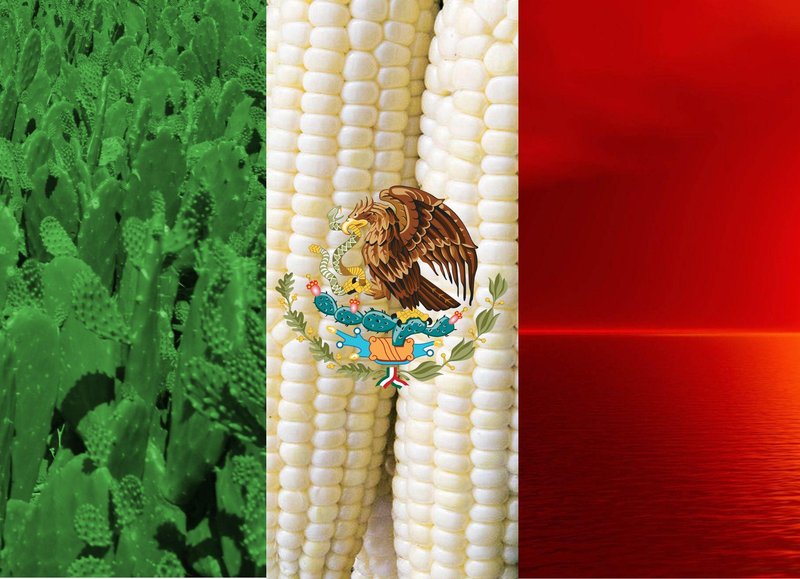 Mexico Flag