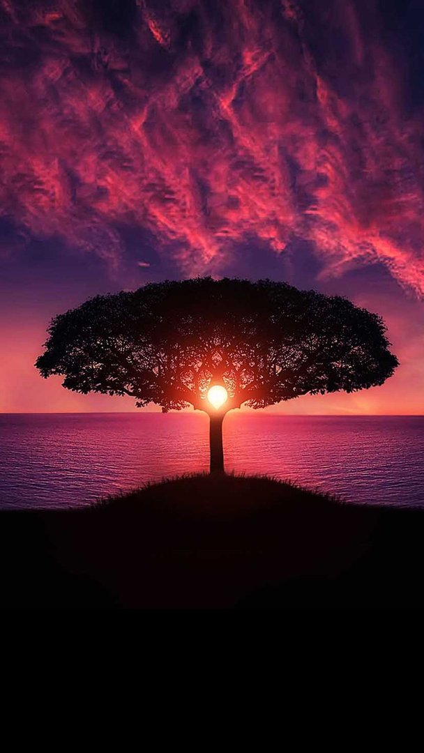 Sunset Wallpaper.jpg